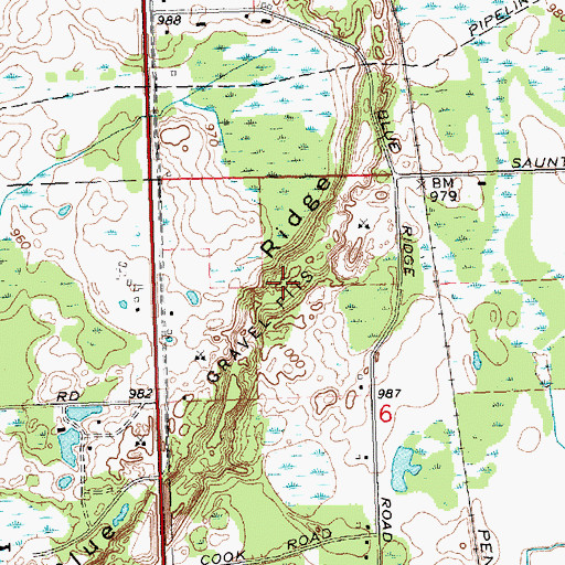 Topographic Map of Blue Ridge, MI