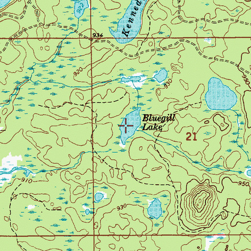 Topographic Map of Bluegill Lake, MI