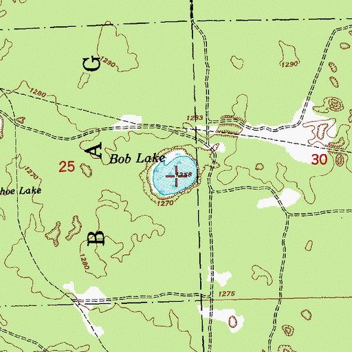Topographic Map of Bob Lake, MI