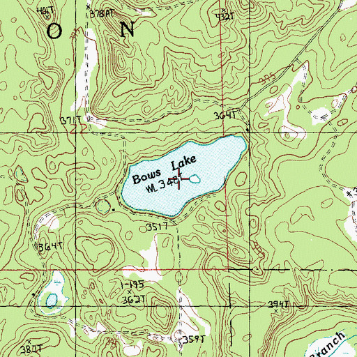 Topographic Map of Bows Lake, MI