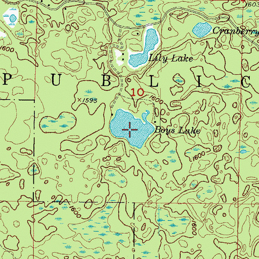 Topographic Map of Boys Lake, MI