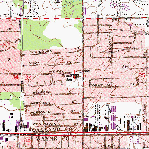 Topographic Map of Brace School, MI