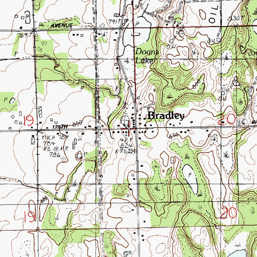 Topographic Map of Bradley, MI