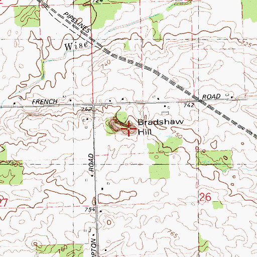 Topographic Map of Bradshaw Hill, MI