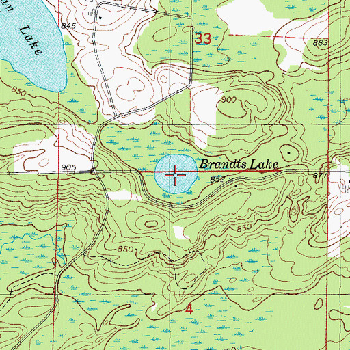 Topographic Map of Brandts Lake, MI