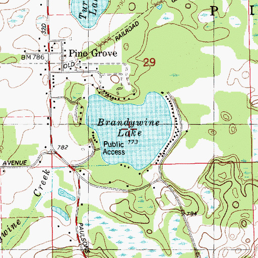 Topographic Map of Brandywine Lake, MI