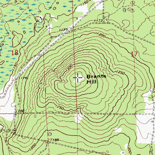 Topographic Map of Brants Hill, MI