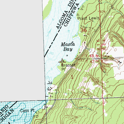 Topographic Map of Brassar Point, MI