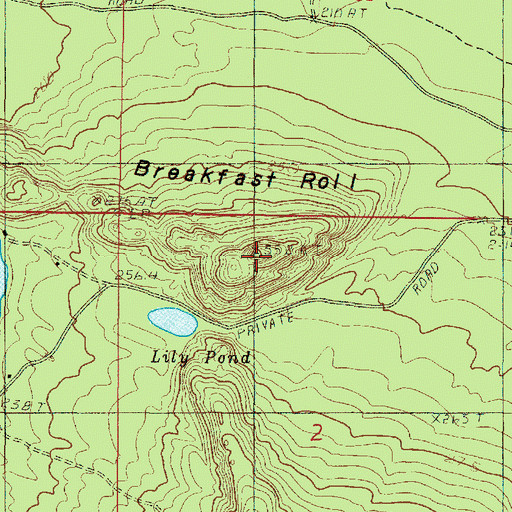 Topographic Map of Breakfast Roll, MI