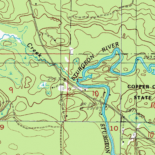 Topographic Map of Breen Creek, MI