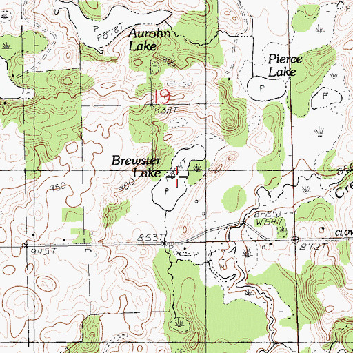 Topographic Map of Brewster Lake, MI