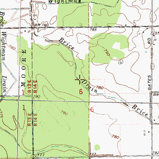 Topographic Map of Brice Drain, MI