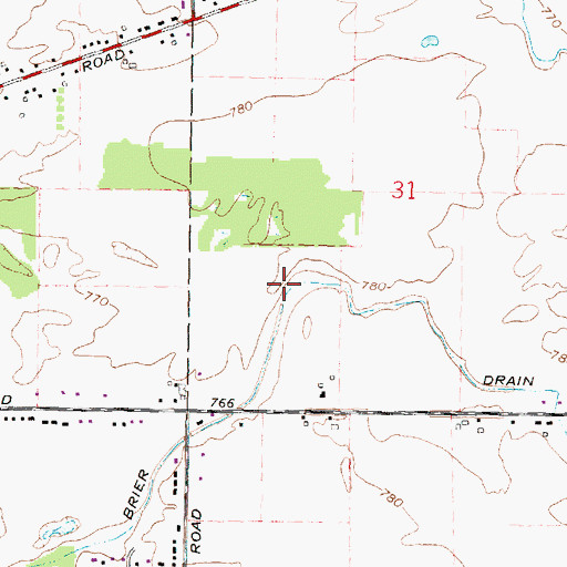 Topographic Map of Brier Drain, MI