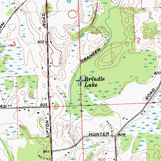 Topographic Map of Brindle Lake, MI