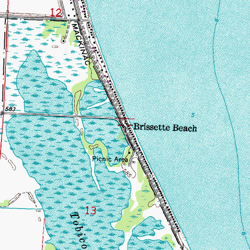 Topographic Map of Brissette Beach, MI