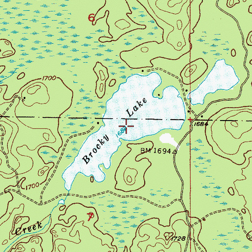 Topographic Map of Brocky Lake, MI