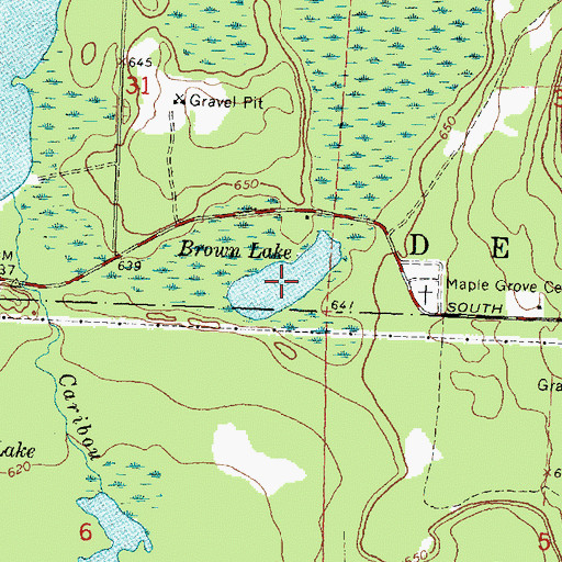 Topographic Map of Brown Lake, MI