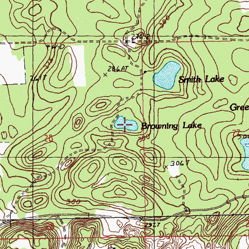 Topographic Map of Browning Lake, MI