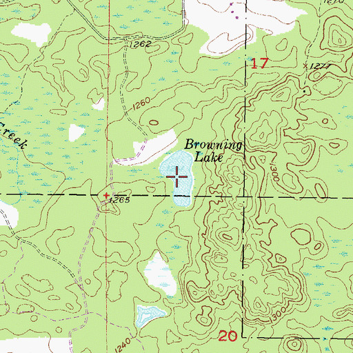 Topographic Map of Browning Lake, MI