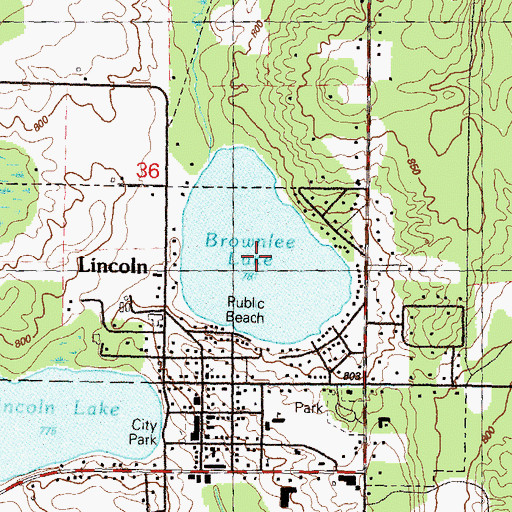 Topographic Map of Brownlee Lake, MI