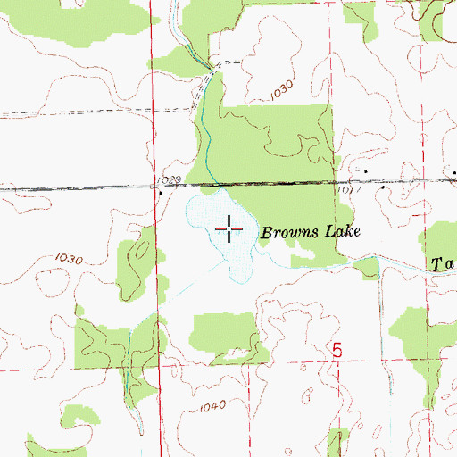 Topographic Map of Browns Lake, MI