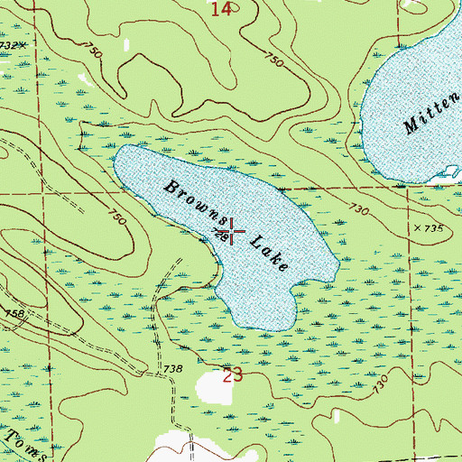 Topographic Map of Browns Lake, MI