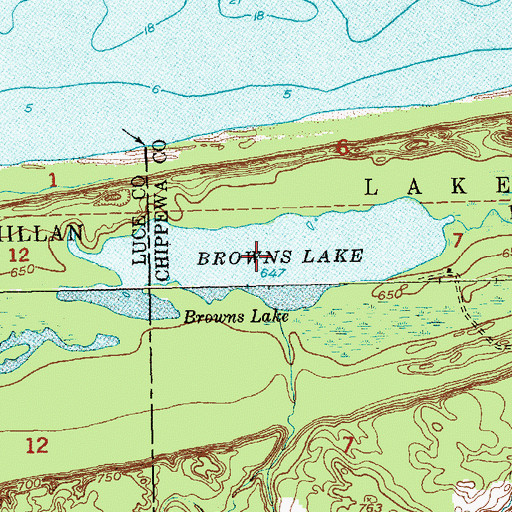 Topographic Map of Browns Lake, MI