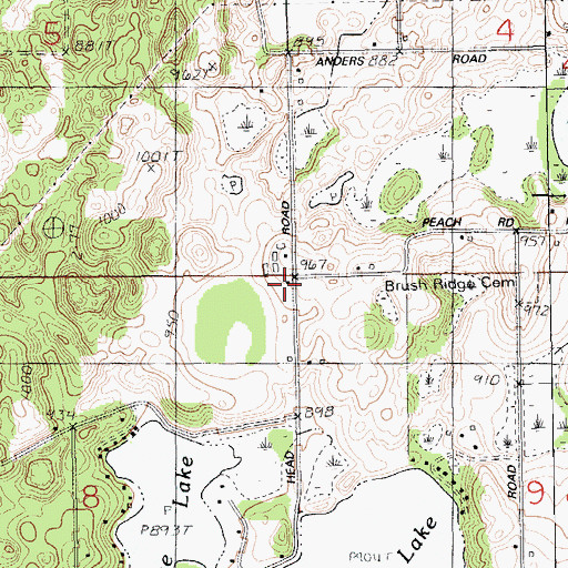 Topographic Map of Brush Ridge School, MI