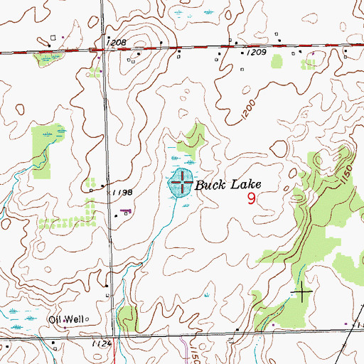 Topographic Map of Buck Lake, MI