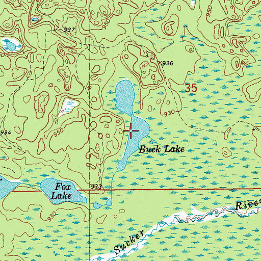 Topographic Map of Buck Lake, MI