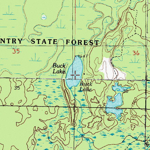 Topographic Map of Buck Lake, MI
