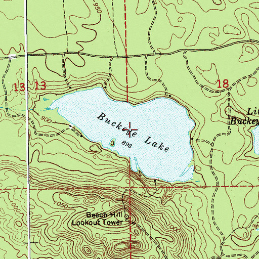 Topographic Map of Buckeye Lake, MI