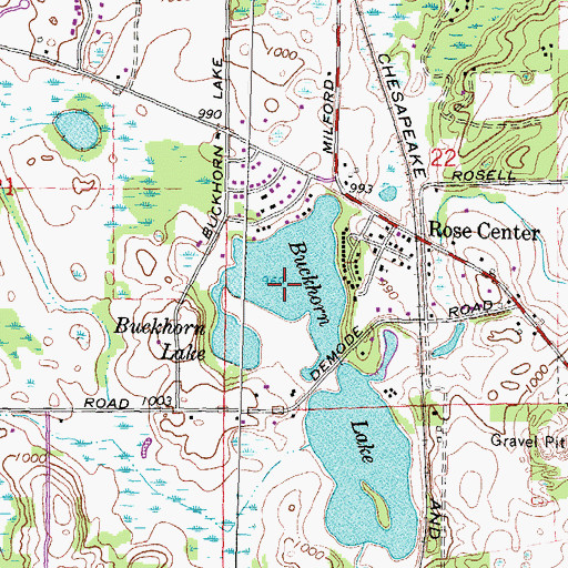 Topographic Map of Buckhorn Lake, MI