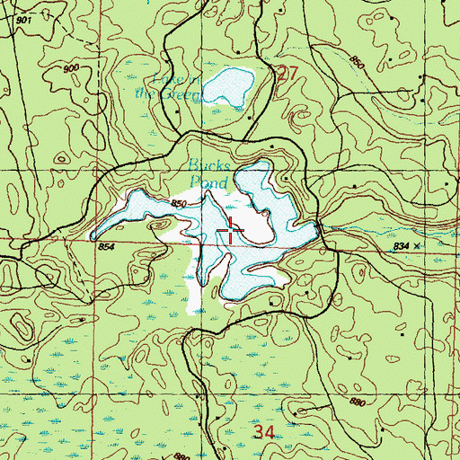 Topographic Map of Bucks Pond, MI