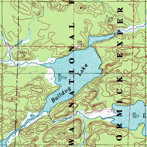 Topographic Map of Bulldog Lake, MI