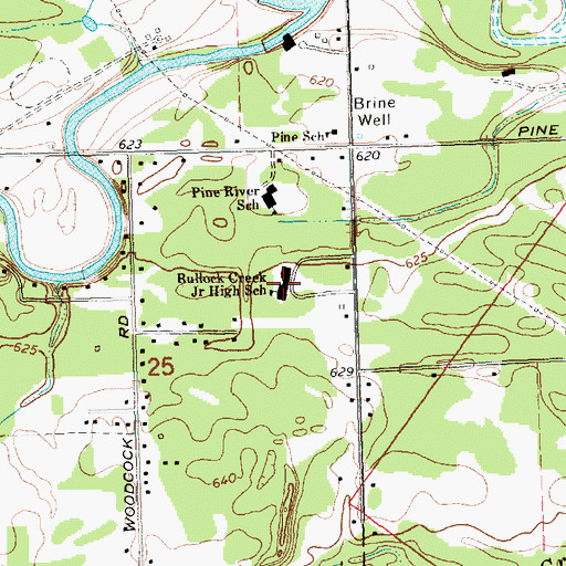 Topographic Map of Bullock Creek Junior High School, MI