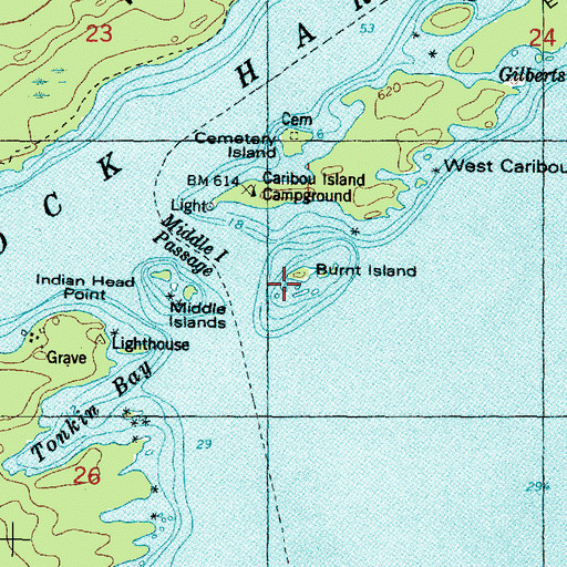 Topographic Map of Burnt Island, MI