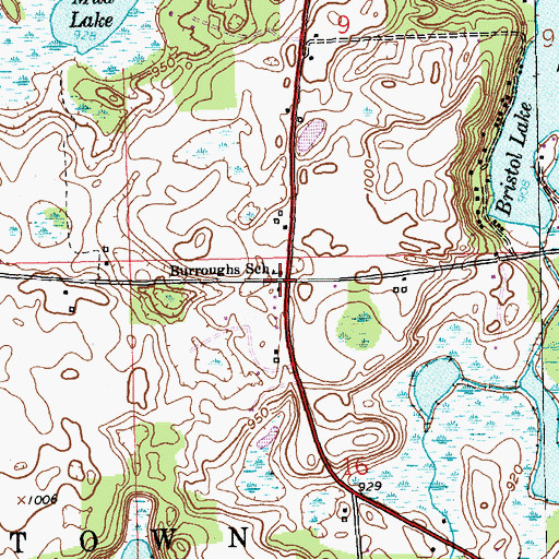 Topographic Map of Burroughs School, MI
