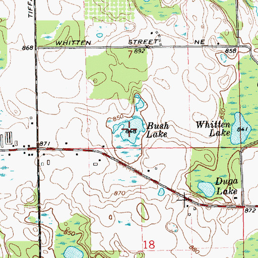 Topographic Map of Bush Lake, MI