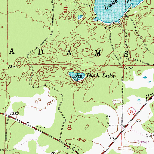 Topographic Map of Bush Lake, MI