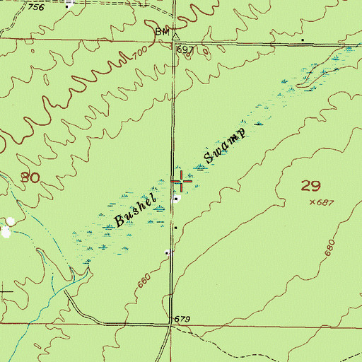 Topographic Map of Bushel Swamp, MI
