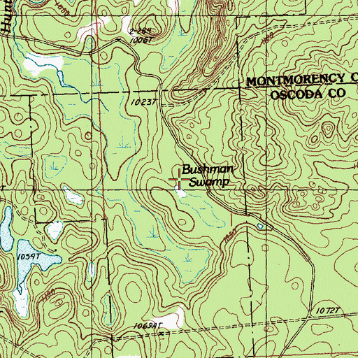 Topographic Map of Bushman Swamp, MI