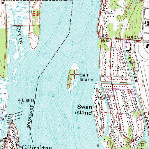 Topographic Map of Calf Island, MI
