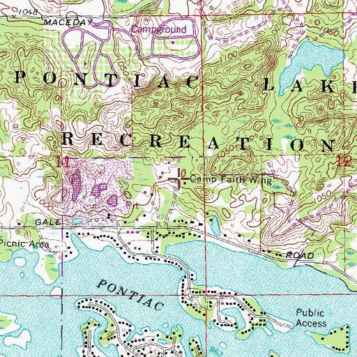 Topographic Map of Camp Faith Wing, MI