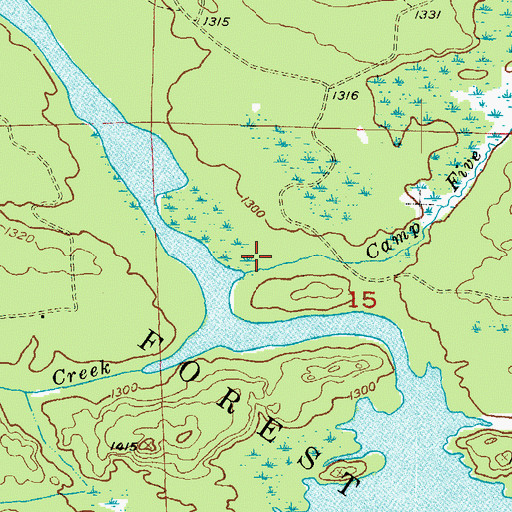 Topographic Map of Camp Five Creek, MI