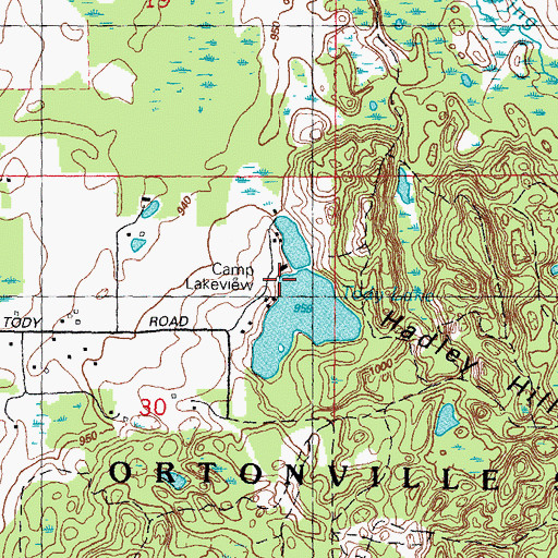 Topographic Map of Camp Lakeview, MI