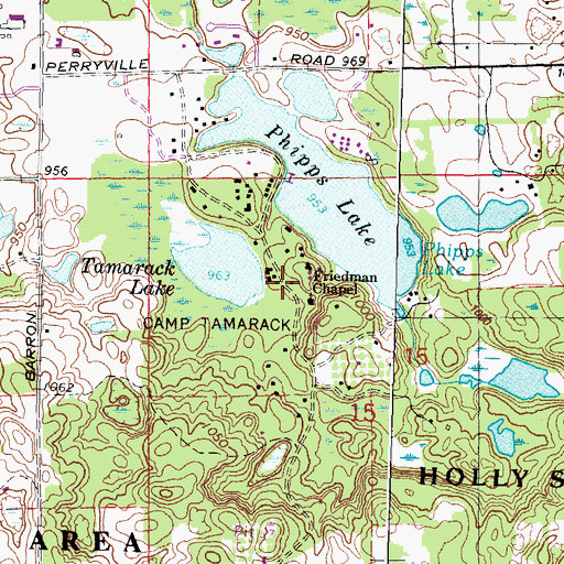 Topographic Map of Camp Tamarack, MI