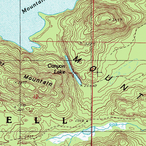 Topographic Map of Canyon Lake, MI