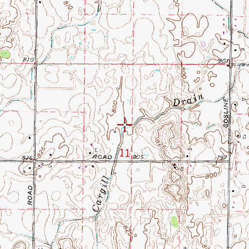 Topographic Map of Cargill Drain, MI