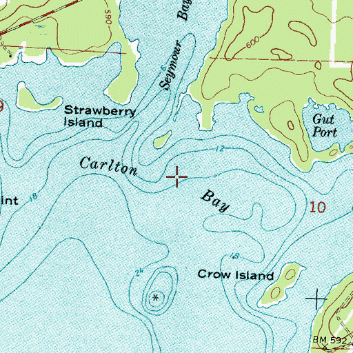 Topographic Map of Carlton Bay, MI